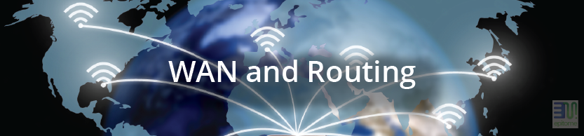 WAN and Routing